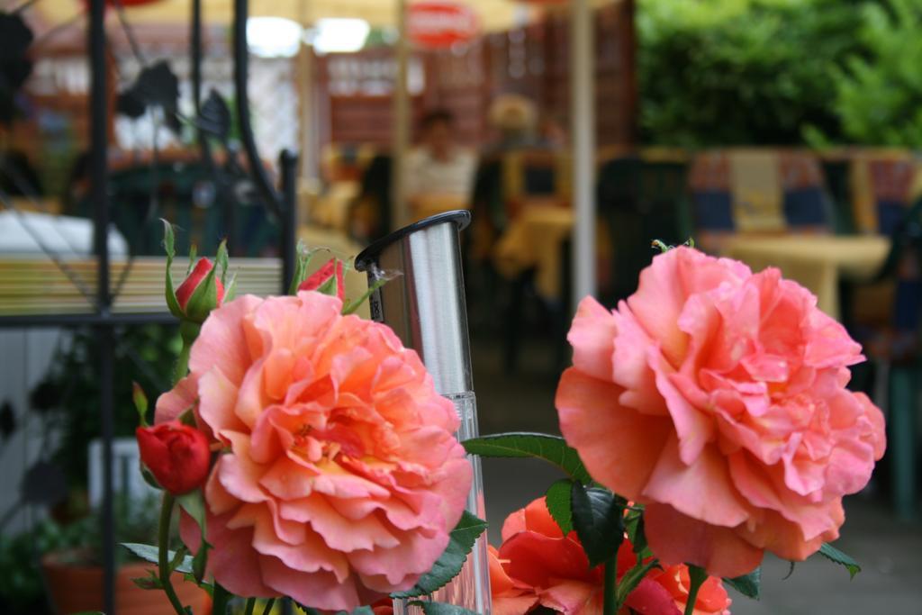 Hotel Restaurant Haus Odendahl โคโลญ ภายนอก รูปภาพ